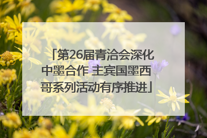 第26届青洽会深化中墨合作 主宾国墨西哥系列活动有序推进