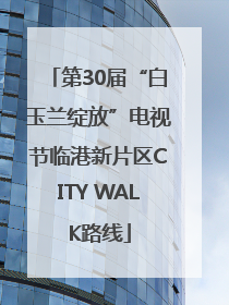 第30届“白玉兰绽放”电视节临港新片区CITY WALK路线
