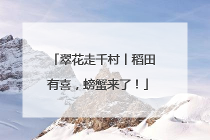 翠花走千村丨稻田有喜，螃蟹来了！