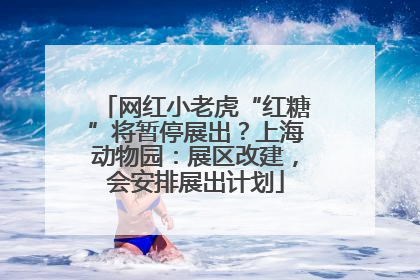 网红小老虎“红糖”将暂停展出？上海动物园：展区改建，会安排展出计划