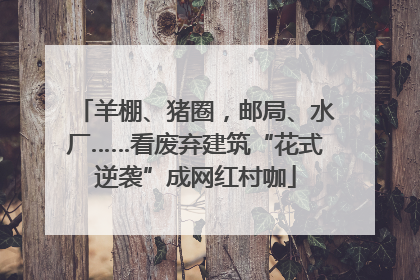 羊棚、猪圈，邮局、水厂……看废弃建筑“花式逆袭”成网红村咖