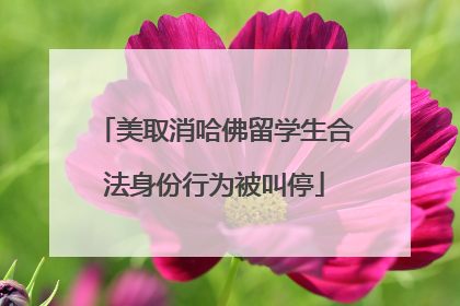 美取消哈佛留学生合法身份行为被叫停