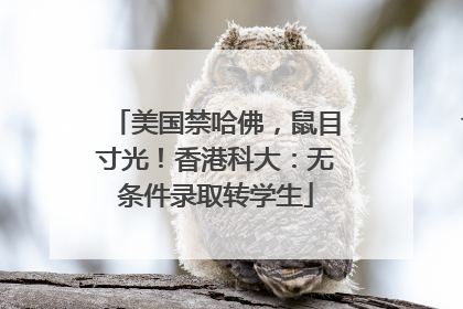 美国禁哈佛，鼠目寸光！香港科大：无条件录取转学生