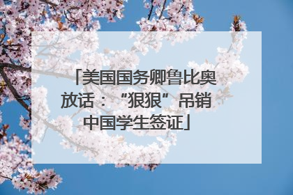 美国国务卿鲁比奥放话：“狠狠”吊销中国学生签证