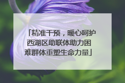 精准干预，暖心呵护 西湖区助联体助力困难群体重塑生命力量
