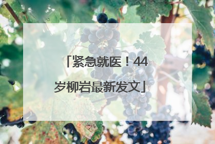 紧急就医！44岁柳岩最新发文