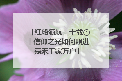 红船领航二十载①丨信仰之光如何照进嘉禾千家万户