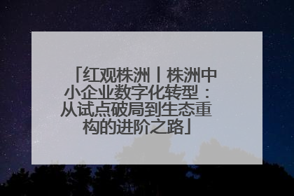 红观株洲丨株洲中小企业数字化转型：从试点破局到生态重构的进阶之路