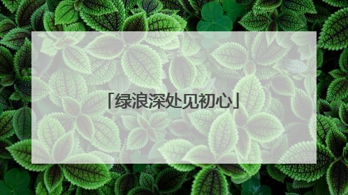 绿浪深处见初心
