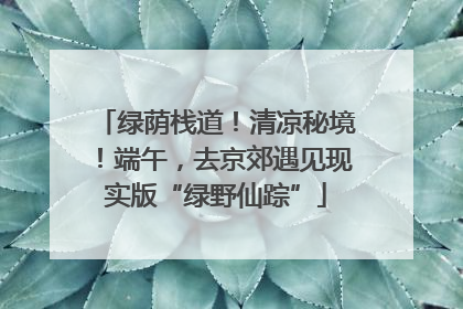 绿荫栈道！清凉秘境！端午，去京郊遇见现实版“绿野仙踪”