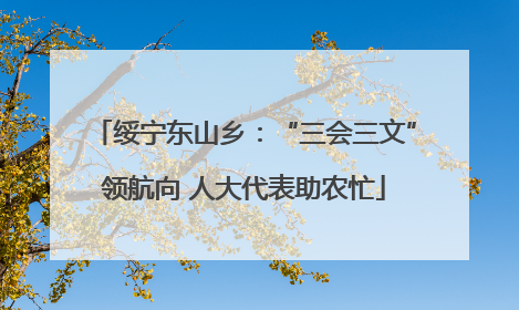 绥宁东山乡：“三会三文”领航向 人大代表助农忙
