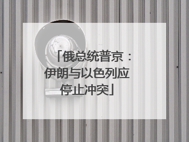 俄总统普京：伊朗与以色列应停止冲突