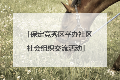 保定竞秀区举办社区社会组织交流活动