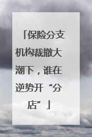 保险分支机构裁撤大潮下，谁在逆势开“分店”