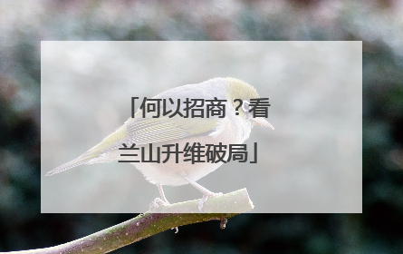 何以招商？看兰山升维破局