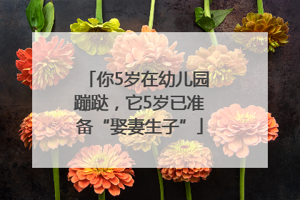 你5岁在幼儿园蹦跶，它5岁已准备“娶妻生子”