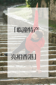临潼特产亮相香港