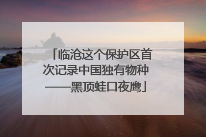 临沧这个保护区首次记录中国独有物种——黑顶蛙口夜鹰