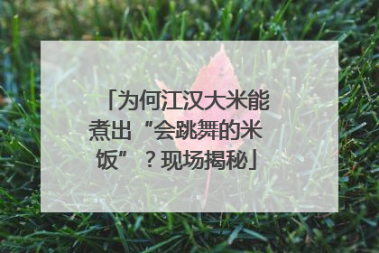为何江汉大米能煮出“会跳舞的米饭”？现场揭秘