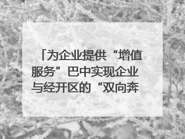 为企业提供“增值服务”巴中实现企业与经开区的“双向奔赴”｜川陕渝网络名人巴中行