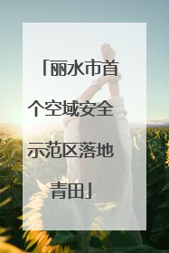 丽水市首个空域安全示范区落地青田