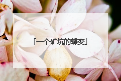 一个矿坑的蝶变