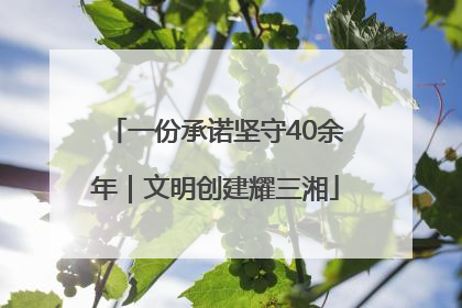 一份承诺坚守40余年｜文明创建耀三湘