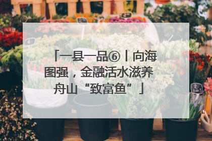 一县一品⑥丨向海图强，金融活水滋养舟山“致富鱼”
