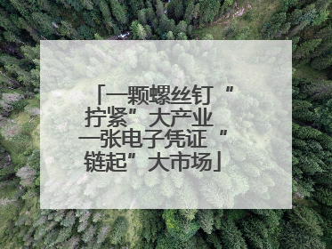 一颗螺丝钉“拧紧”大产业 一张电子凭证“链起”大市场
