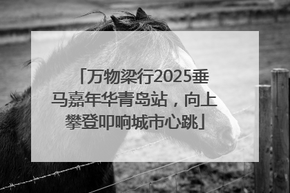 万物梁行2025垂马嘉年华青岛站，向上攀登叩响城市心跳