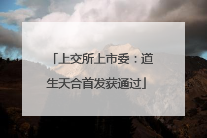 上交所上市委：道生天合首发获通过