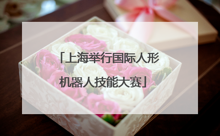 上海举行国际人形机器人技能大赛