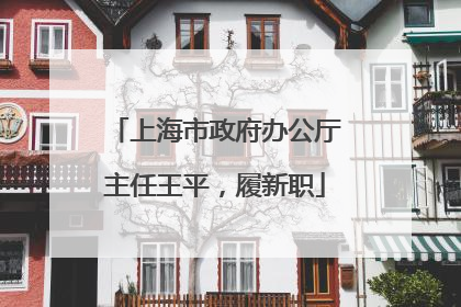上海市政府办公厅主任王平，履新职