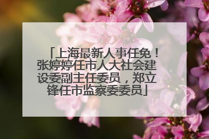 上海最新人事任免！张婷婷任市人大社会建设委副主任委员，郑立锋任市监察委委员