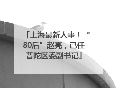 上海最新人事！“80后”赵亮，已任普陀区委副书记