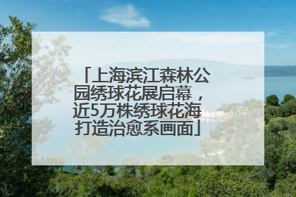 上海滨江森林公园绣球花展启幕，近5万株绣球花海打造治愈系画面
