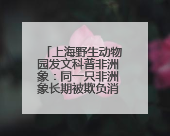上海野生动物园发文科普非洲象：同一只非洲象长期被欺负消息不实