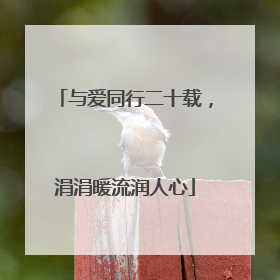 与爱同行二十载，涓涓暖流润人心