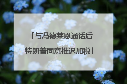 与冯德莱恩通话后 特朗普同意推迟加税
