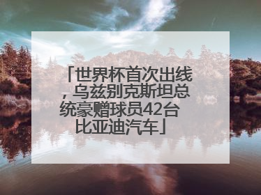 世界杯首次出线，乌兹别克斯坦总统豪赠球员42台比亚迪汽车