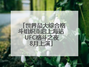 世界最大综合格斗组织重启上海站 UFC格斗之夜8月上演