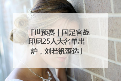 世预赛｜国足客战印尼25人大名单出炉，刘若钒落选