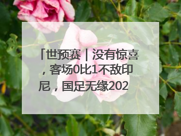 世预赛｜没有惊喜，客场0比1不敌印尼，国足无缘2026年世界杯