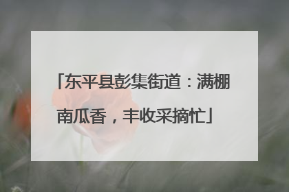 东平县彭集街道：满棚南瓜香，丰收采摘忙