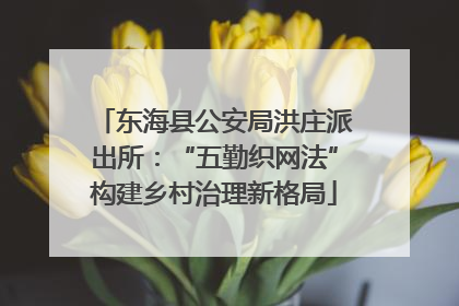 东海县公安局洪庄派出所：“五勤织网法”构建乡村治理新格局