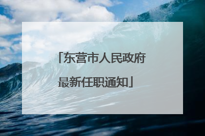 东营市人民政府最新任职通知