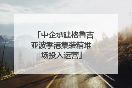 中企承建格鲁吉亚波季港集装箱堆场投入运营