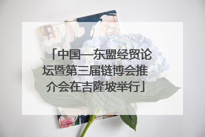 中国—东盟经贸论坛暨第三届链博会推介会在吉隆坡举行