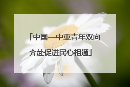 中国—中亚青年双向奔赴促进民心相通