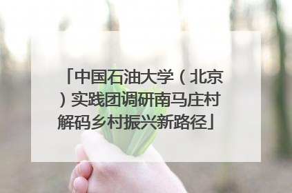 中国石油大学（北京）实践团调研南马庄村解码乡村振兴新路径